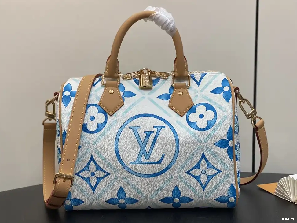 25 SPEEDY Vuitton Louis 0524
